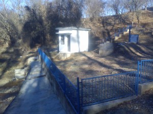 DSC00535
