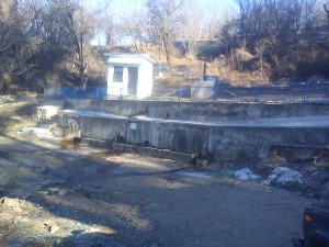 DSC00542